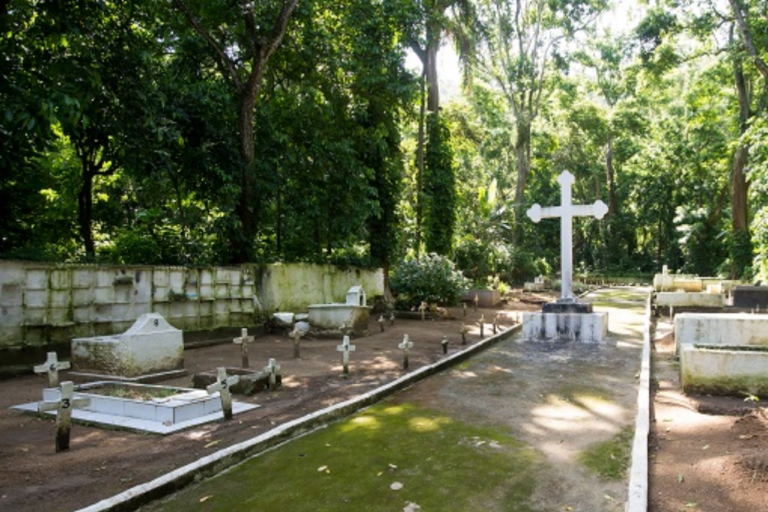 Rio Pax, concessionária oficial responsável pela gestão e conservação dos cemitérios públicos municipais do Rio de Janeiro, oferecendo serviços funerários completos com qualidade, transparência e preços regulamentados pela Prefeitura do Rio de Janeiro.